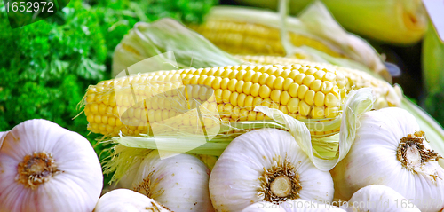 Image of  Corn and garlic
