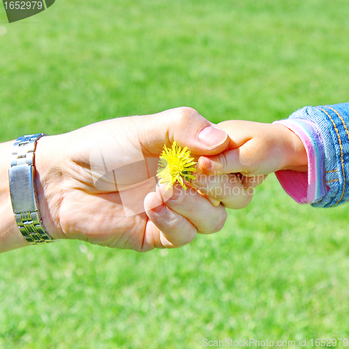 Image of  Handshake the small and big man 