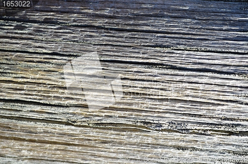 Image of Old plank worn by weather