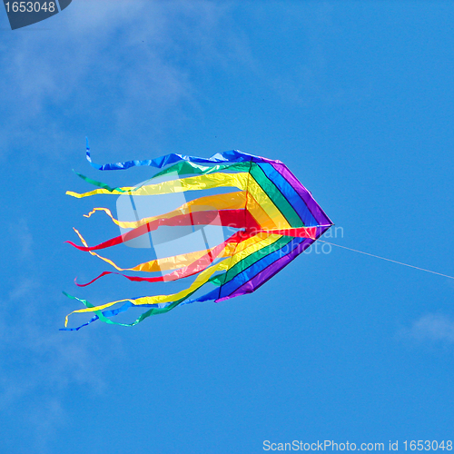 Image of The rainbow kite 