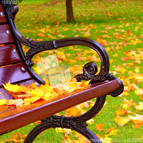 Image of Park bench in autumn closeup