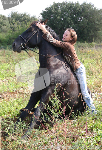 Image of sitting horse