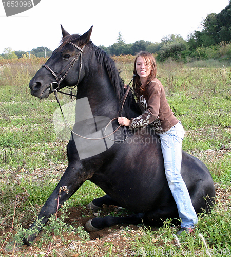 Image of sitting horse