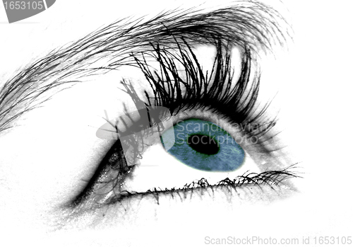 Image of beautiful eye