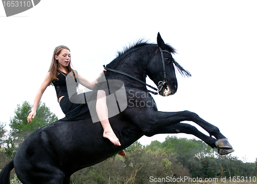 Image of rearing stallion