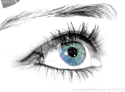 Image of beautiful eye