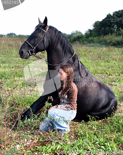 Image of sitting horse