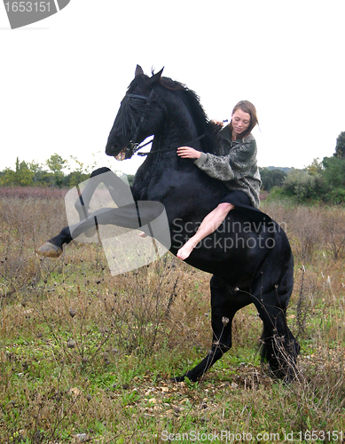 Image of rearing stallion