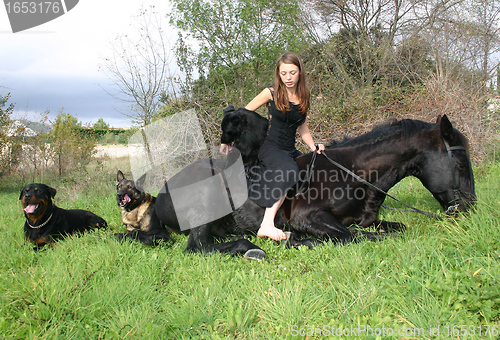 Image of horse laid down and riding girl