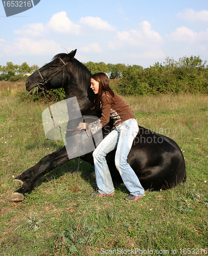 Image of sitting horse