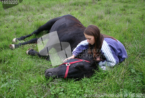 Image of horse laid down and riding girl