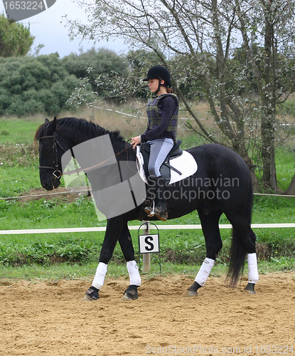 Image of horse and woman in dressage