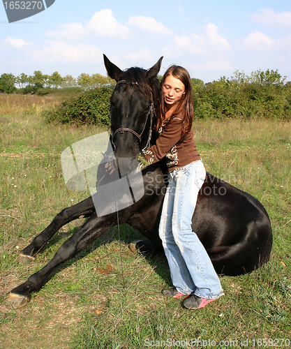 Image of sitting horse