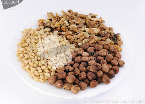 Image of Nuts: hazelnut, walnut,  cedar