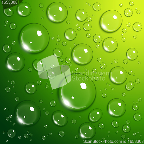 Image of Water drops on green
