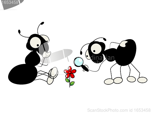 Image of Two ants and flower