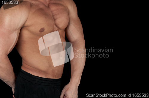 Image of bodybuilder