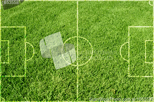 Image of Soccer green grass