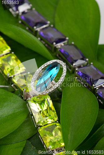 Image of Jewelry at green leaves