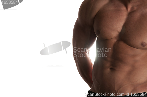 Image of bodybuilder
