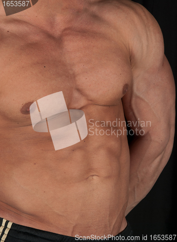 Image of bodybuilder