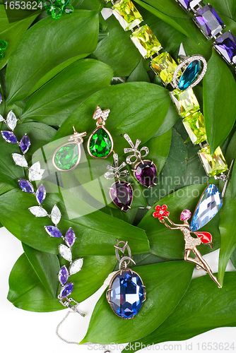 Image of Jewelry at green leaves