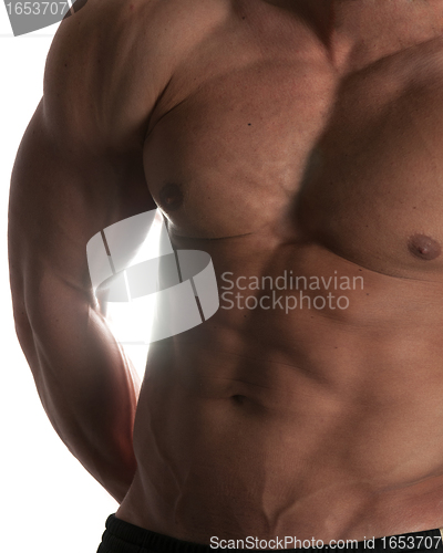 Image of bodybuilder