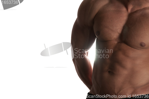 Image of bodybuilder