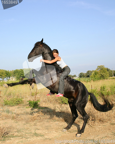 Image of rearing horse