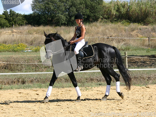 Image of horse and woman in dressage