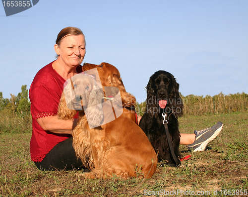 Image of english cockers and senior woman