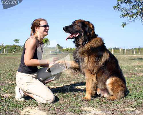 Image of woman and leonberger