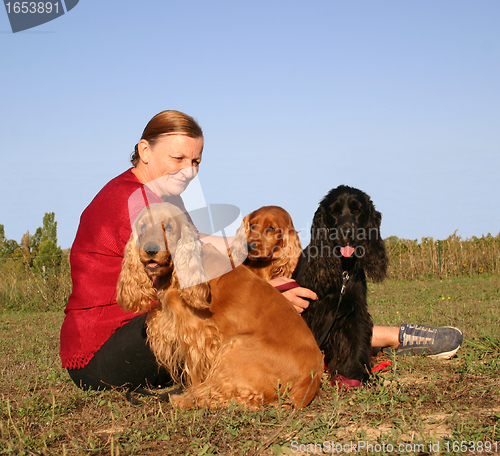 Image of english cockers and senior woman