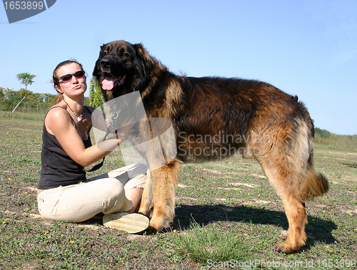 Image of woman and leonberger