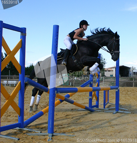 Image of jumping horse