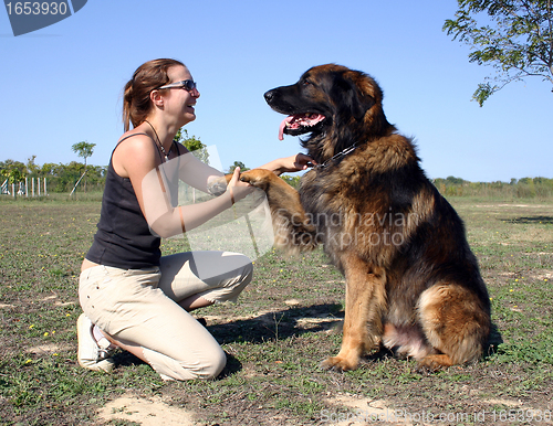 Image of woman and leonberger