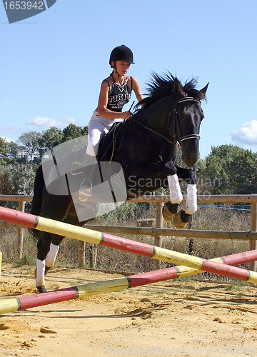 Image of jumping horse