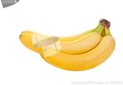 Image of Bananas