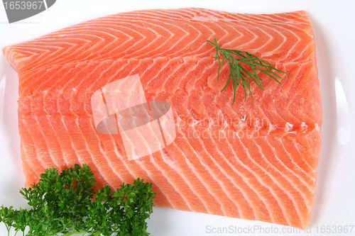 Image of Salmon.