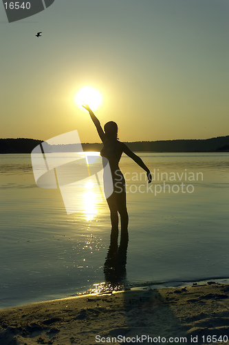 Image of girl, sun, sea  and bird