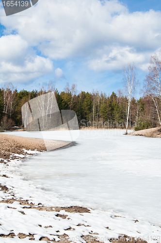 Image of Landscape at the forest lake early spring 