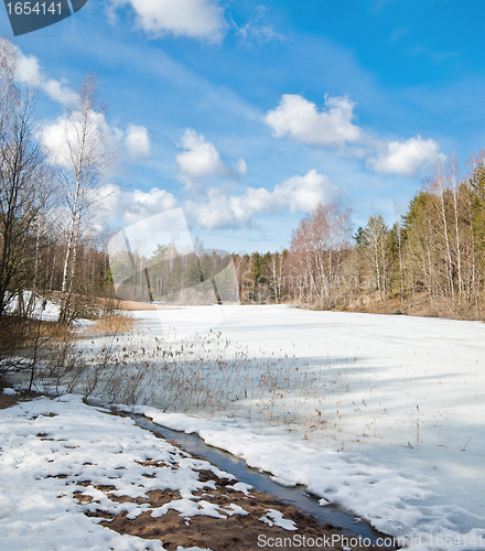 Image of Landscape at the forest lake early spring 