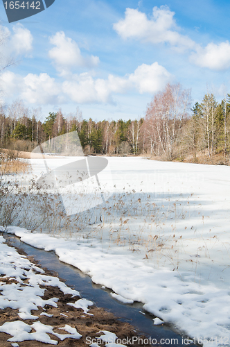 Image of Landscape at the forest lake early spring 