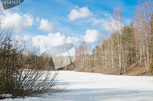 Image of Landscape at the forest lake early spring 