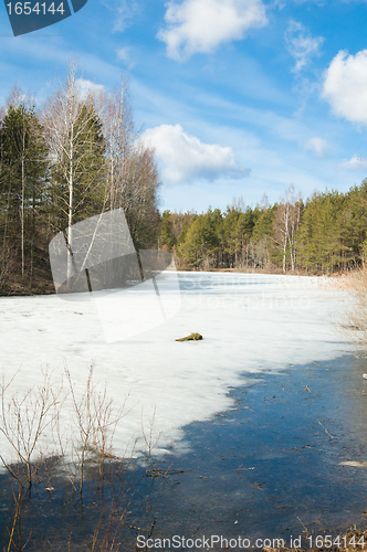 Image of Landscape at the forest lake early spring 