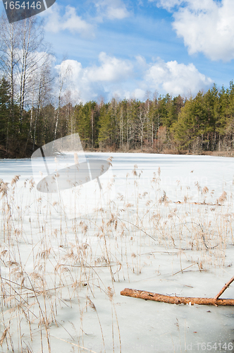 Image of Landscape at the forest lake early spring 