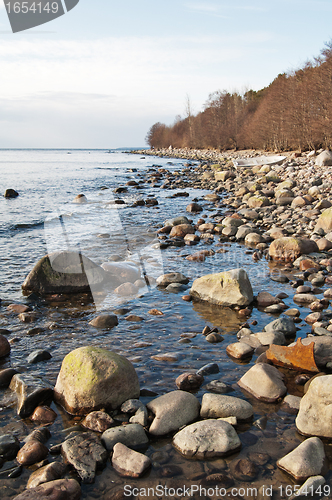 Image of Stony coast of Baltic sea