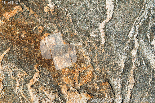 Image of Surface of a marine stone, close up