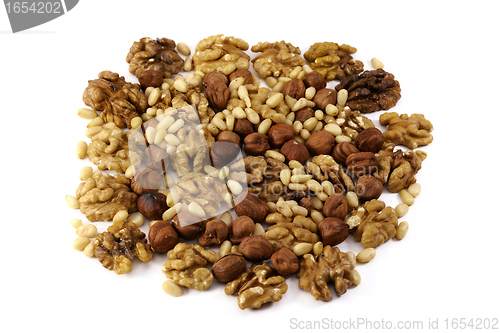 Image of Nuts: hazelnut, walnut,  cedar