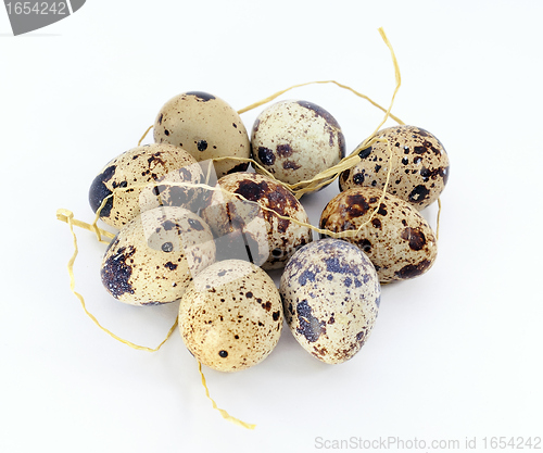 Image of Quail eggs